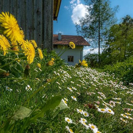 Ferienhaus Schlierachtal Miesbach Ngoại thất bức ảnh